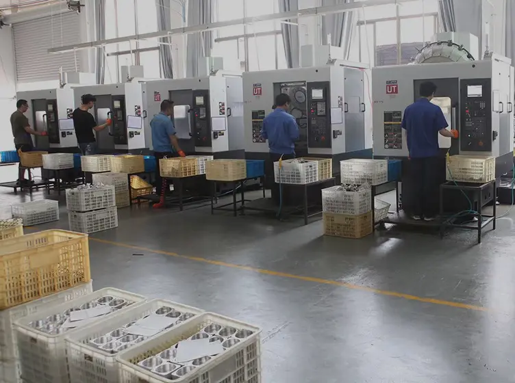 Service Introduction